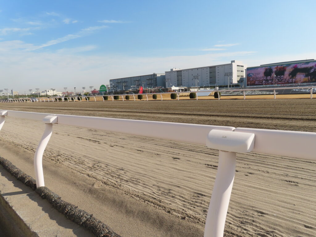 川崎競馬場の本馬場