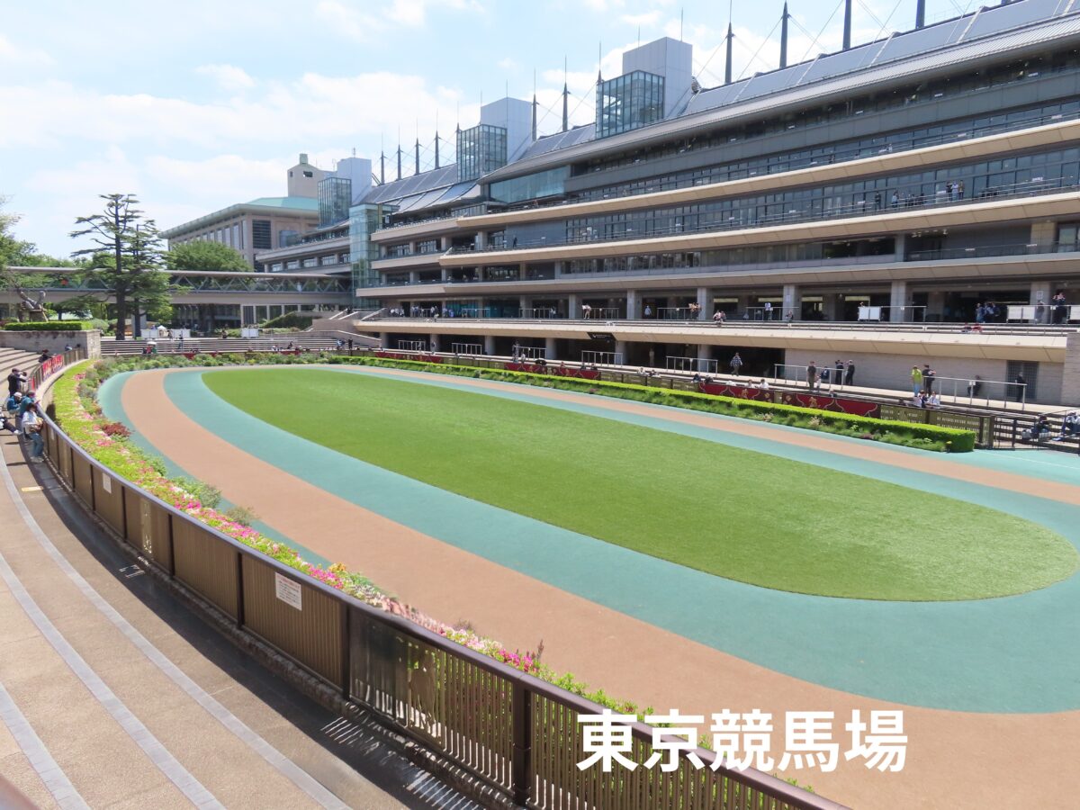 東京競馬場のパドック