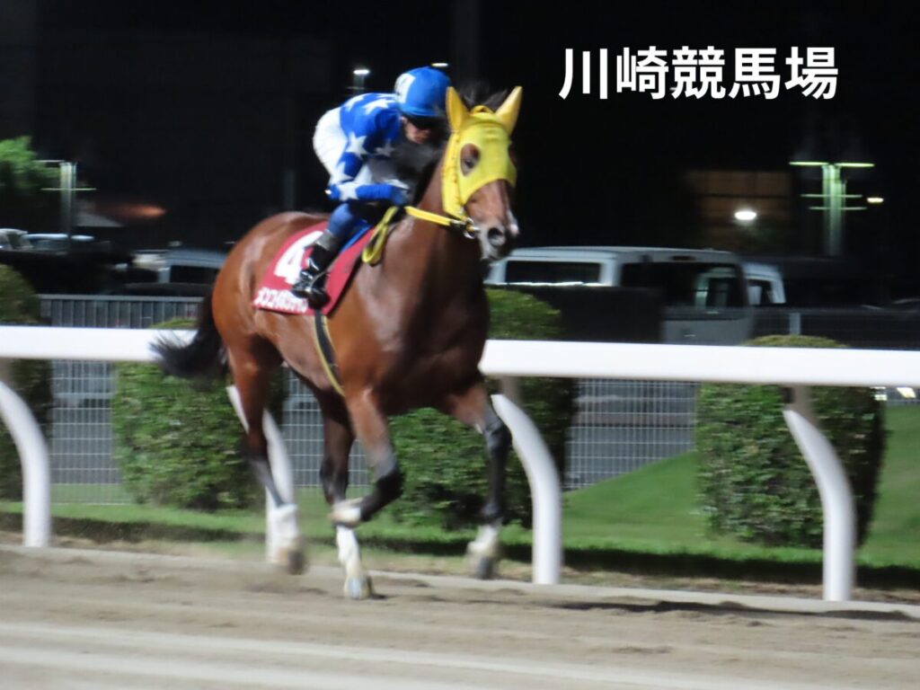 川崎競馬場
