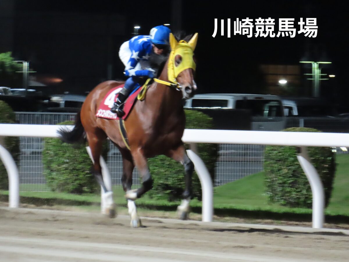 川崎競馬場