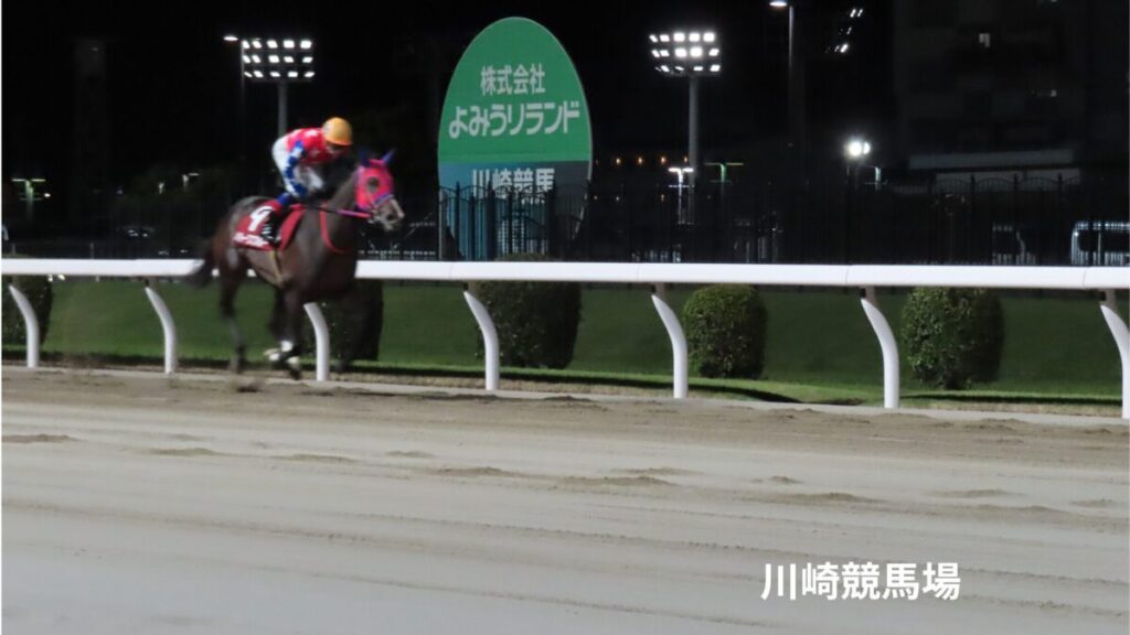 川崎競馬場の本馬場返し馬
