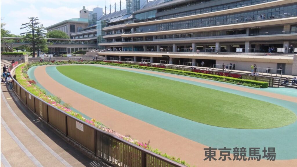 東京競馬場のパドック